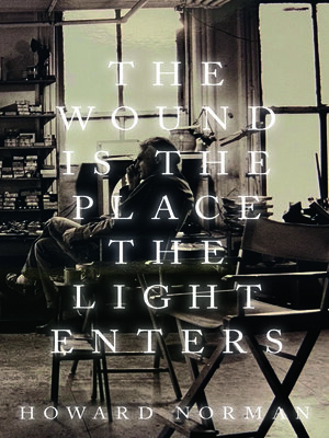 cover image of The Wound is the Place the Light Enters
